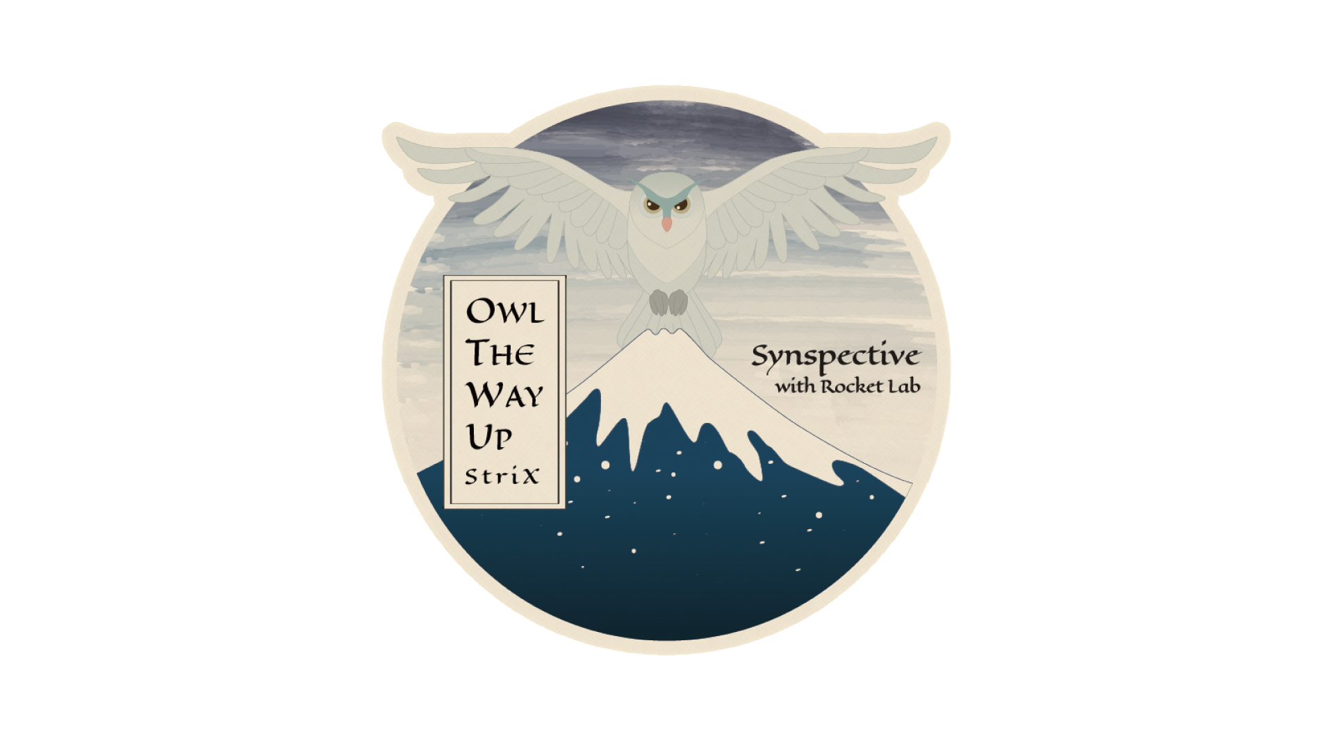 Synspective’s Sixth SAR Satellite Successfully Reaches Target Orbit and Spreads its Wings