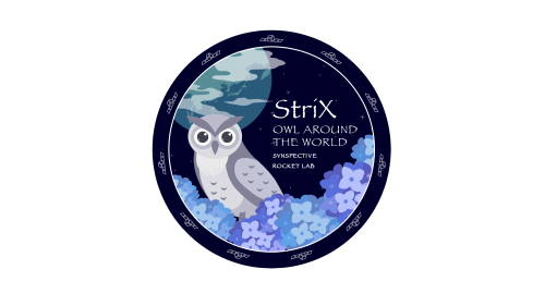 Announcement of the Launch Schedule for Synspective’s 11th StriX Satellite
