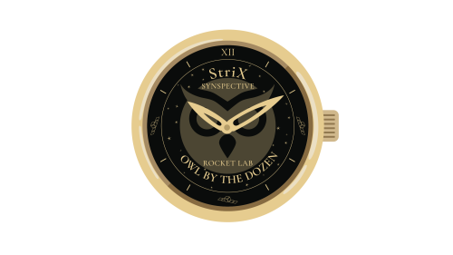 Announcement of the Launch Schedule for Synspective’s 12th StriX Satellite